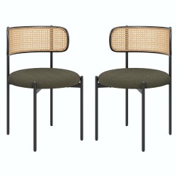 Modern Upholstered Dining Chairs Set of 2